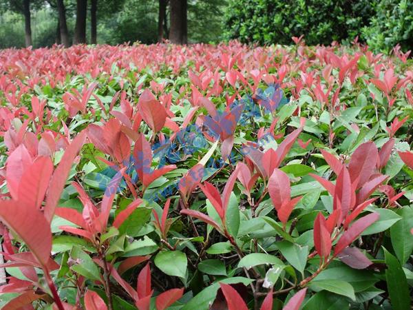 c鿴ԔϢ}t~ʯ xΔ2349