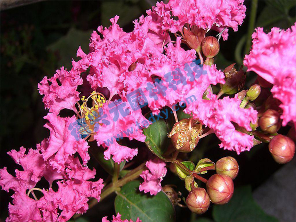 �c���鿴Ԕ����Ϣ���}����ޱ ��x�Δ���1840